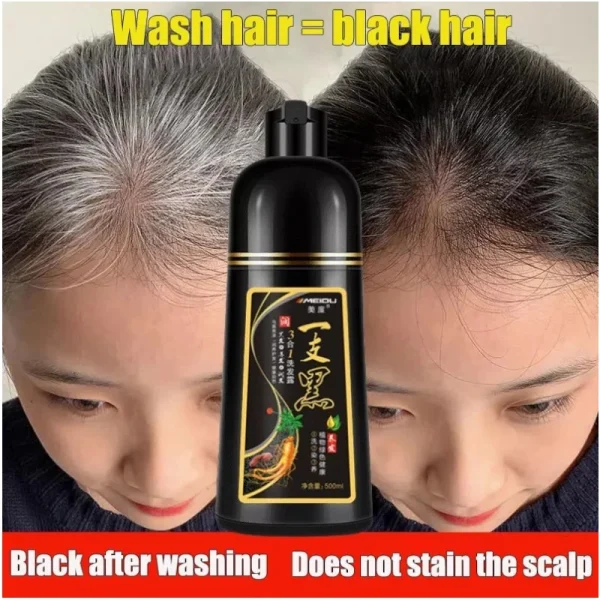 5c1340ae-c961-48ad-ab47-145382aa6bf3.webp