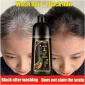 5c1340ae-c961-48ad-ab47-145382aa6bf3.webp