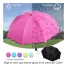 D_NQ_NP_876696-MLM70800879963_072023-O.webp
