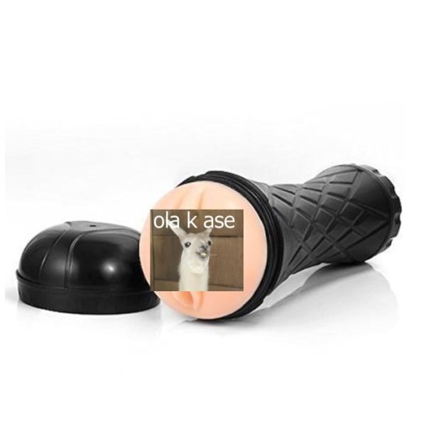 OLAKASE-1.jpg