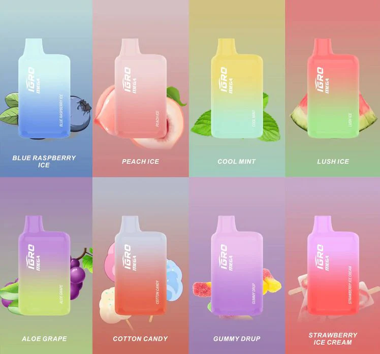 Imagen de VAPE IGRO MEGA 5,000 PUFFS