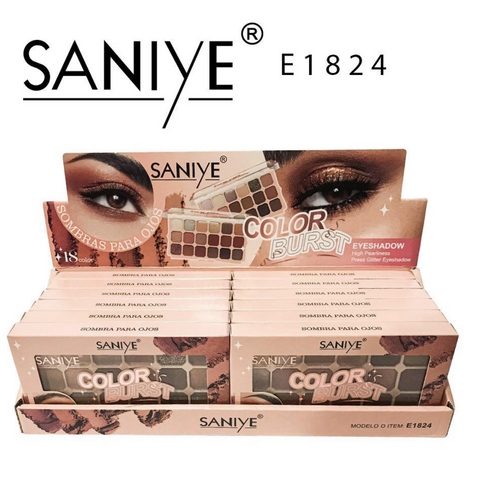 Imagen de GAMA 2 SOMBRA COLOR BURST SANIYE E1824