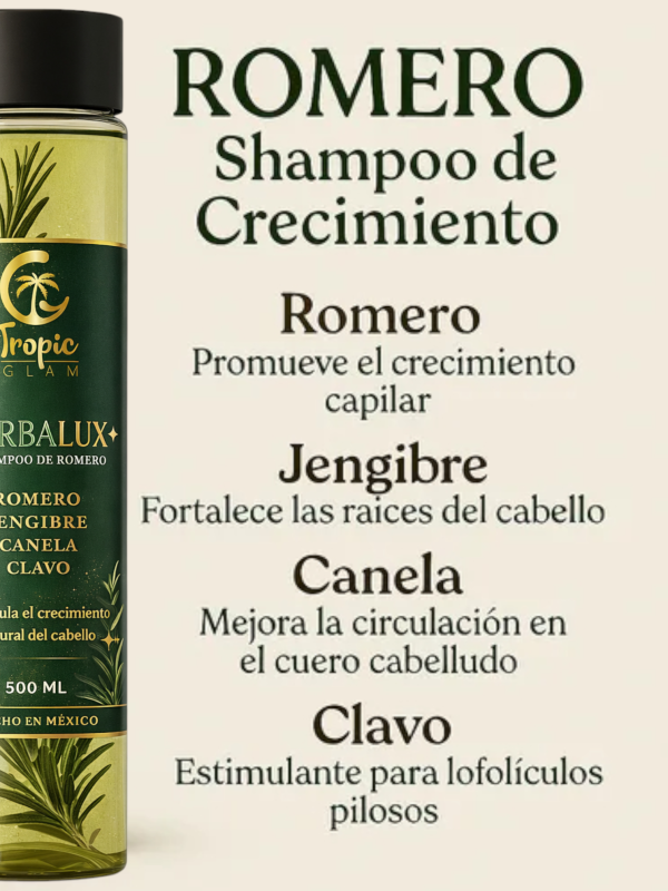 D_NQ_NP_742271-MLM84395616545_052025-O-2-shampoo-natural-romero-acelera-crecimiento-cabello-brillo D_NQ_NP_742271-MLM84395616545_052025-O-2-shampoo-natural-romero-acelera-crecimiento-cabello-brillo