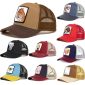 GORRA (2)