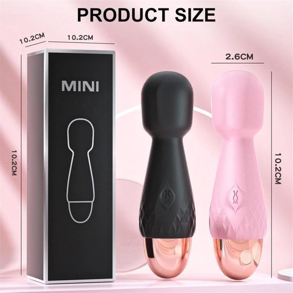 MINIMICC